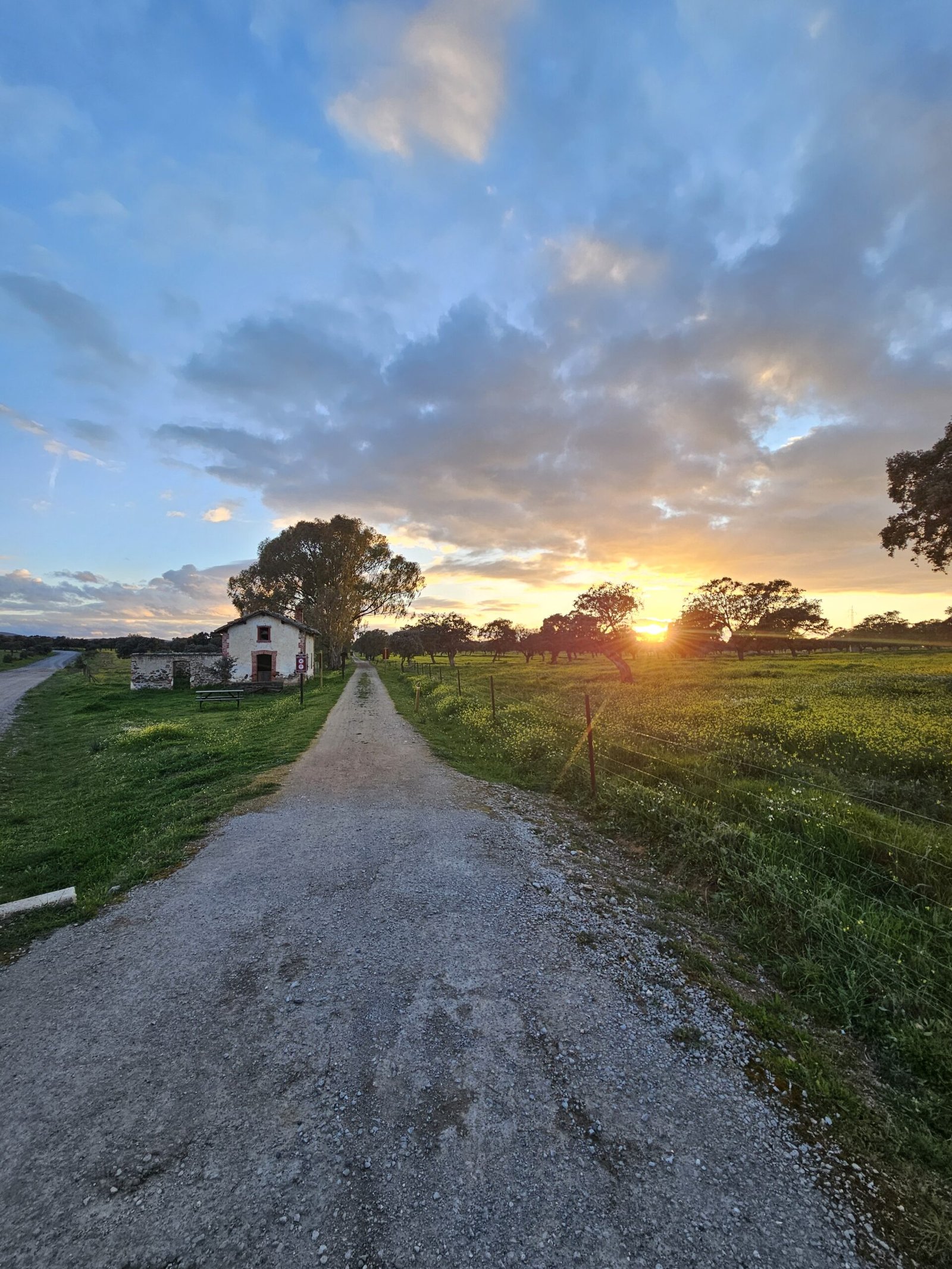 La ruta dela vía verde de la minerídescubre lo mejor de Los Pedroches en casas rurales el Verdinal en Villanueva del Duque