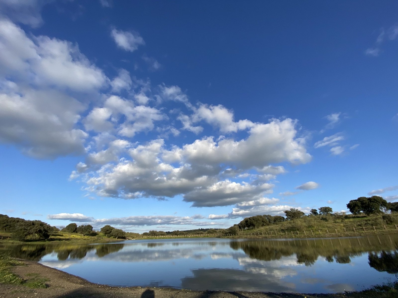 Dehesa BOYAL alcornoques y chaparros villanueva del duque