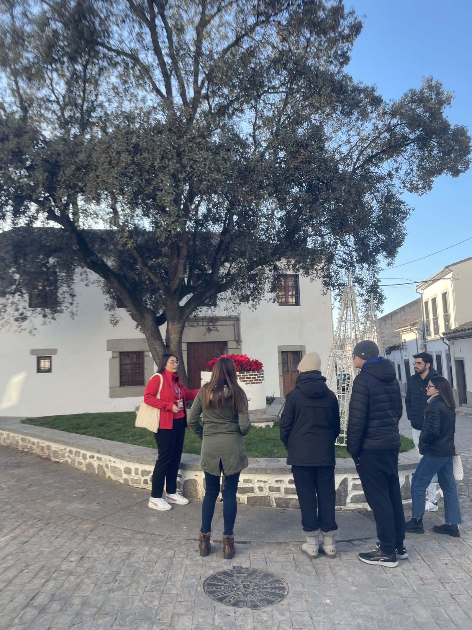Entre Encinas Dehesa alcornoques y chaparros Los Pedroches