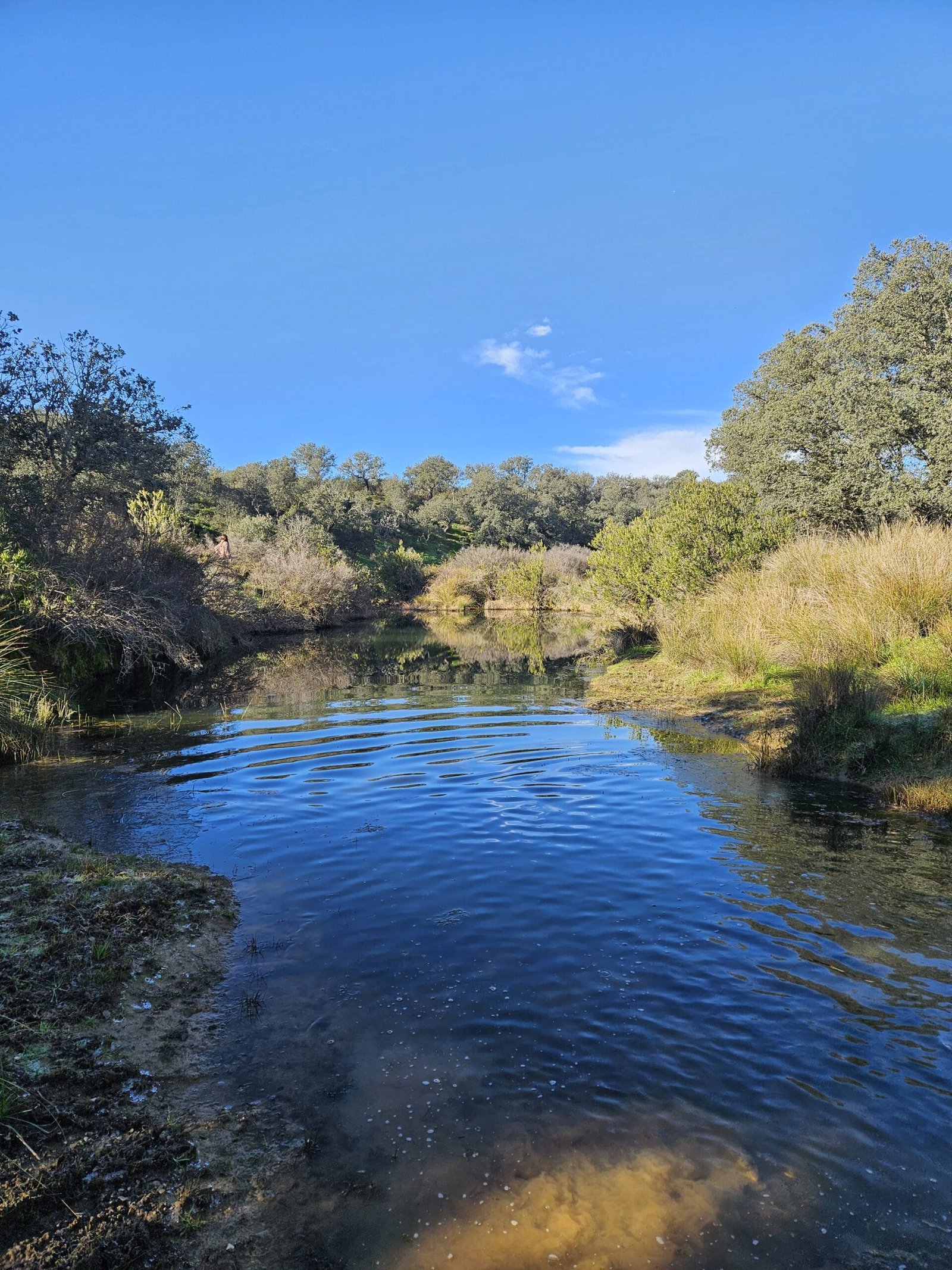 Entorno Casa Rural El Verdinal & VTAR El Jaral: