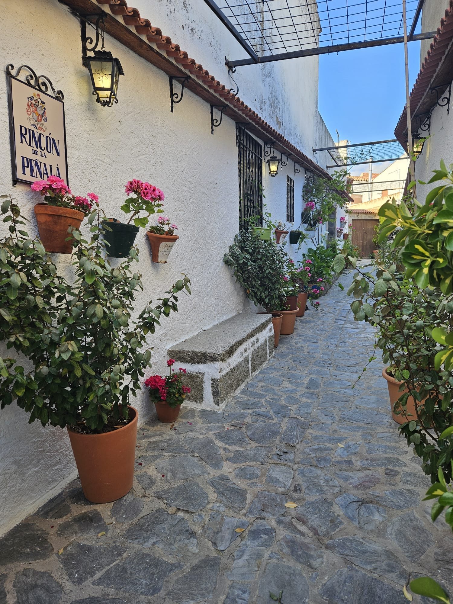 Qué hacer Casa Rural El Verdinal & VTAR El Jaral: La Peñalá.